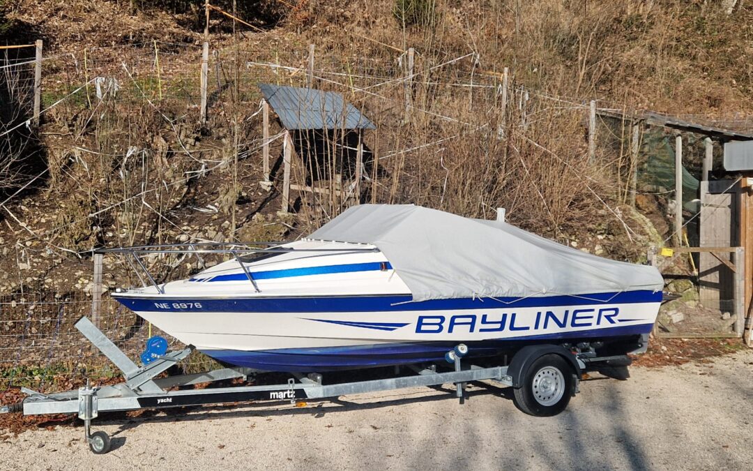 Bayliner CN 1952 Classic